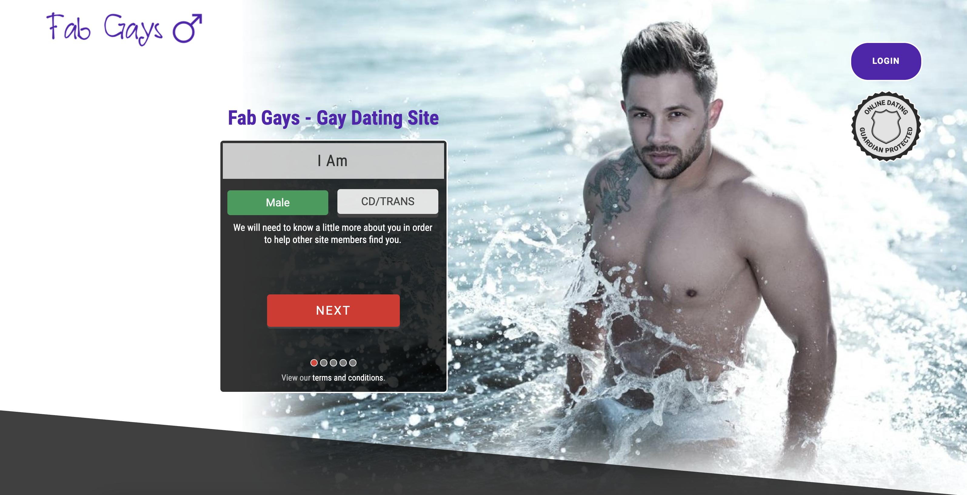 Fab Gays Dating screenshot
